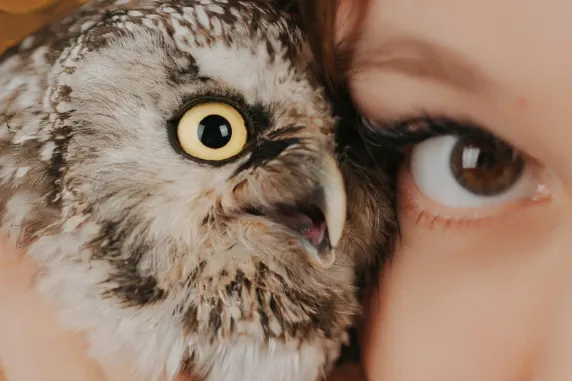 Casino AllStar Slots Support